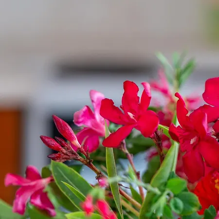 Appartamento Anna Maisonette