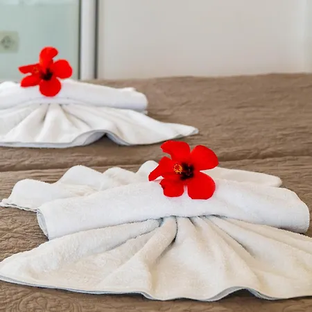 Anna And Maisonettes ארילס