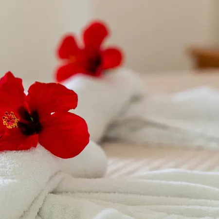 דירה Anna And Maisonettes ארילס